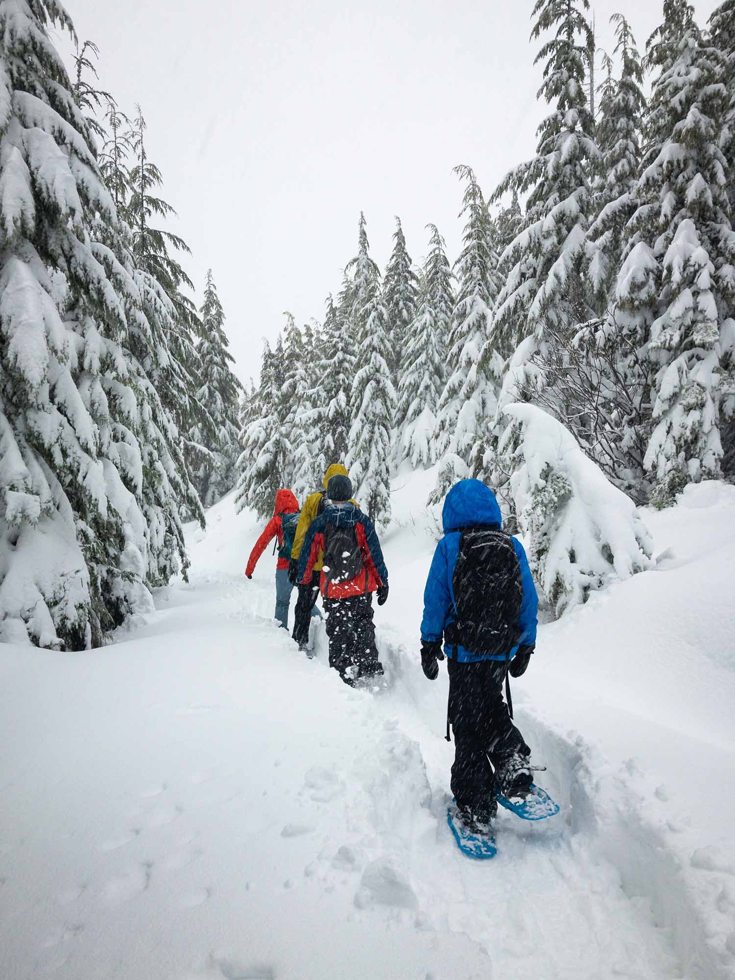 a group of people walking in the snow